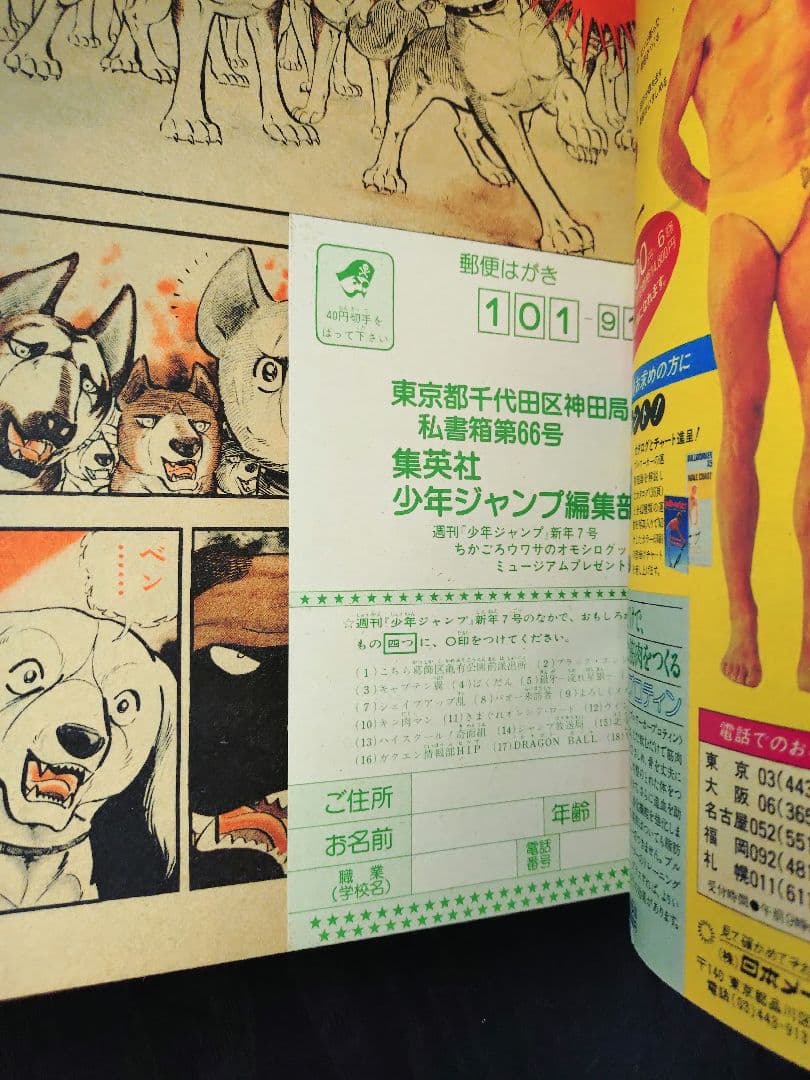 【週刊少年ジャンプ1985年7号】ドラゴンボール　表紙2回目　c