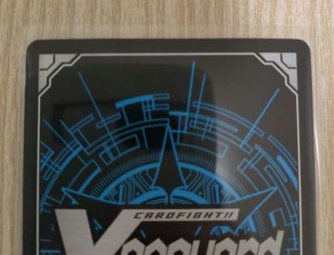 バヴサーガラ　ssr