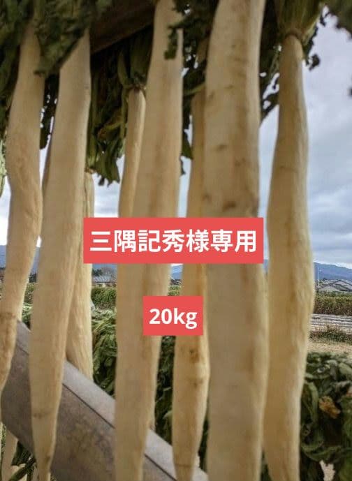 干し大根　三隅記秀