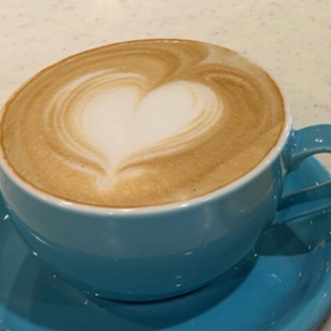 【松岡】VBM エスプレッソマシン Domobar super 周辺器具