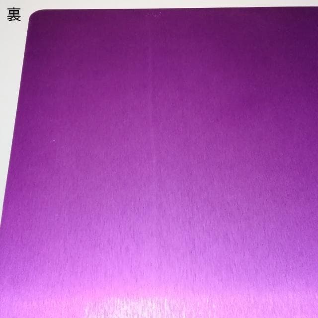 ニコラ・テスラ　ポジティブエナジー・パープルプレート　L　電磁波対策　波動