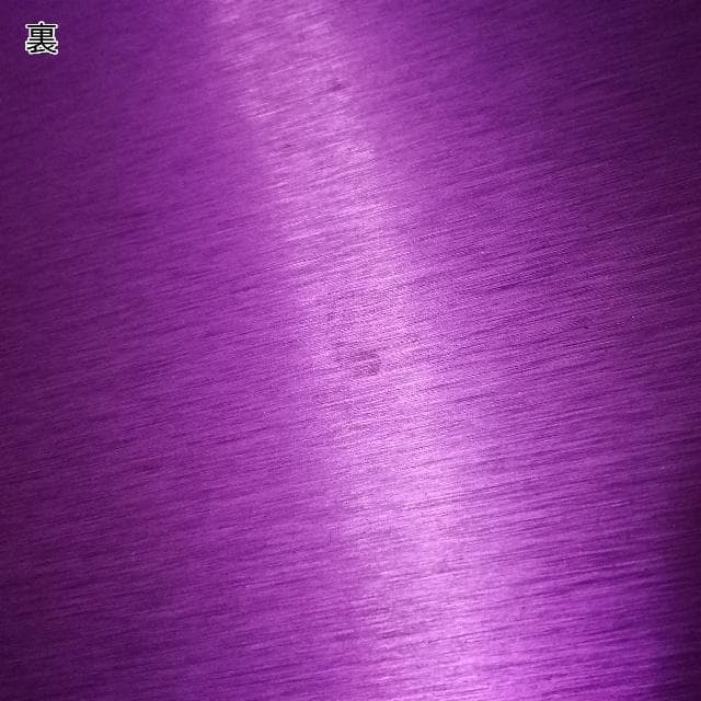 ニコラ・テスラ　ポジティブエナジー・パープルプレート　L　電磁波対策　波動