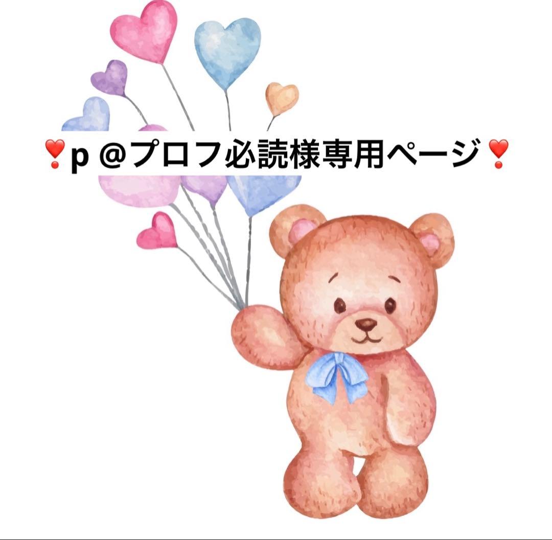 3 x p @プロフ必読ページ