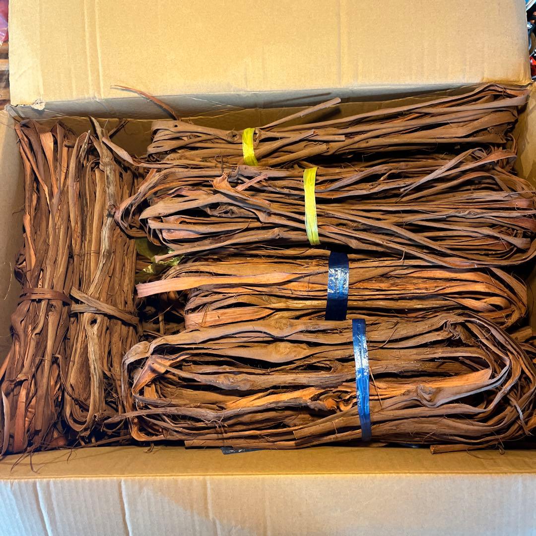 ラッキー　山葡萄の蔓