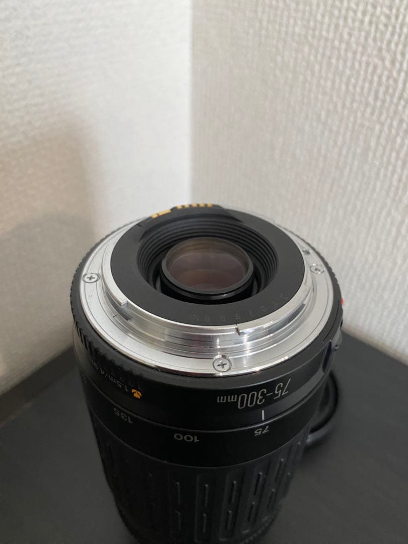CanonEOSkissX9レンズキット＋CanonEF75-300mm