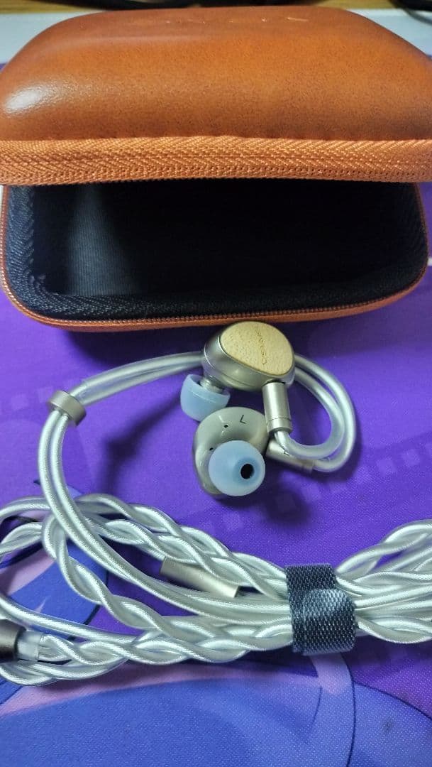 SIVGA Que 有線イヤホン