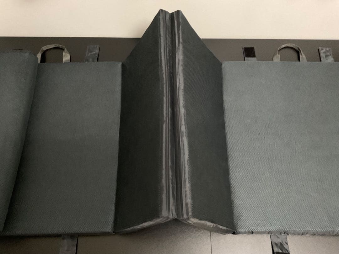 BRAIN SLEEP オールインワン マットレスのみ