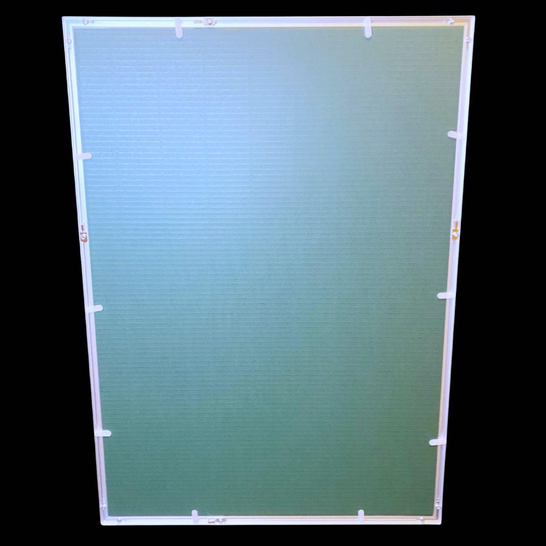 【模写】世界限定100枚! アンディ・ウォーホル ミック・ジャガー リトグラフ