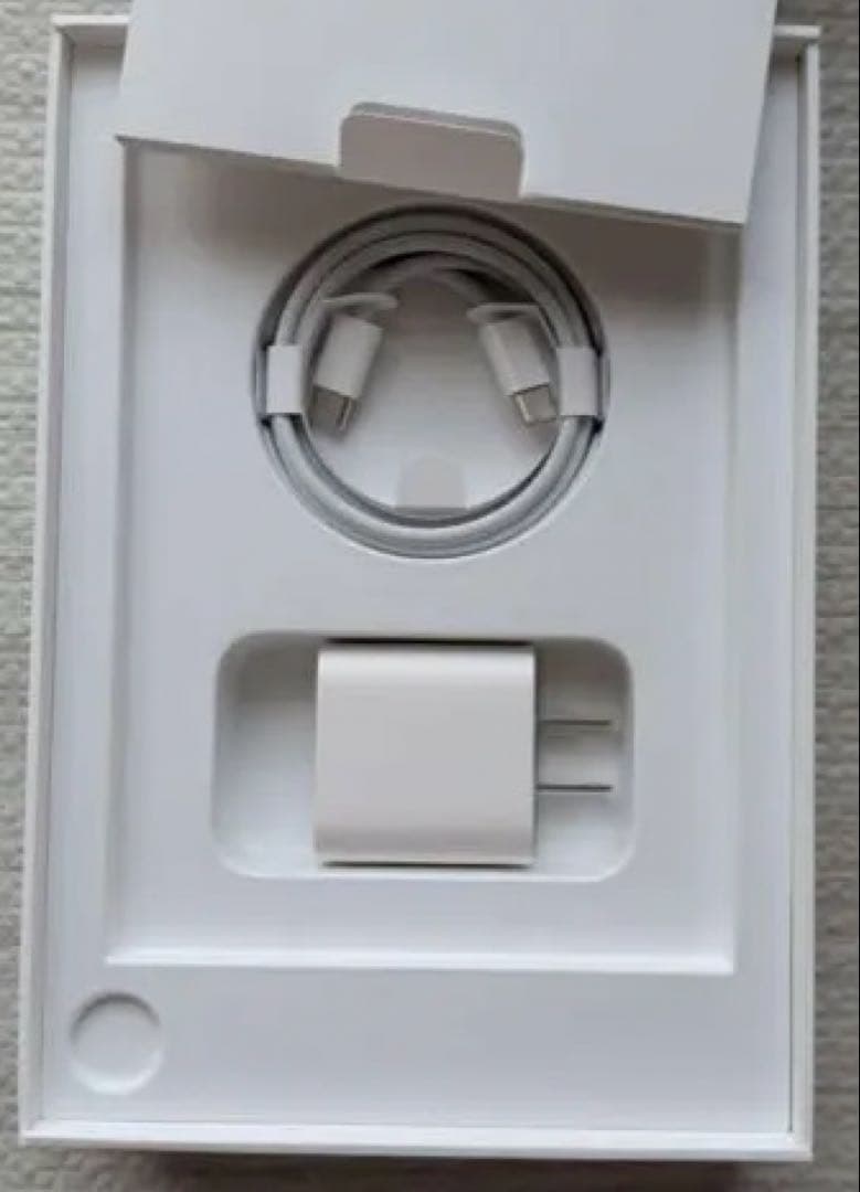 iPad mini (第7世代) 本体　スペースグレイ　セルラー