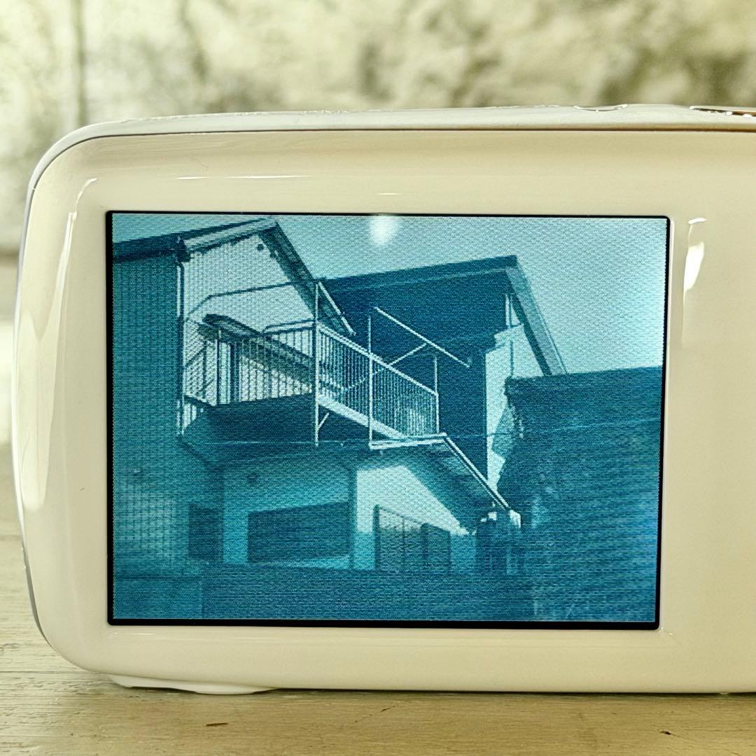 Panasonic「LUMIX S」DMC-S1