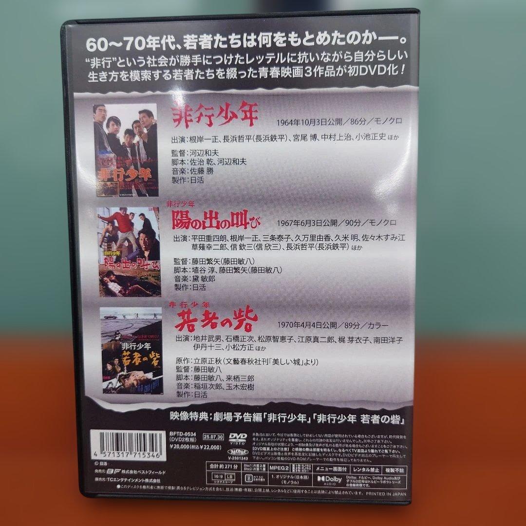 昭和の名作ライブラリー 第161集 劇映画 非行少年シリーズ DVD2枚組