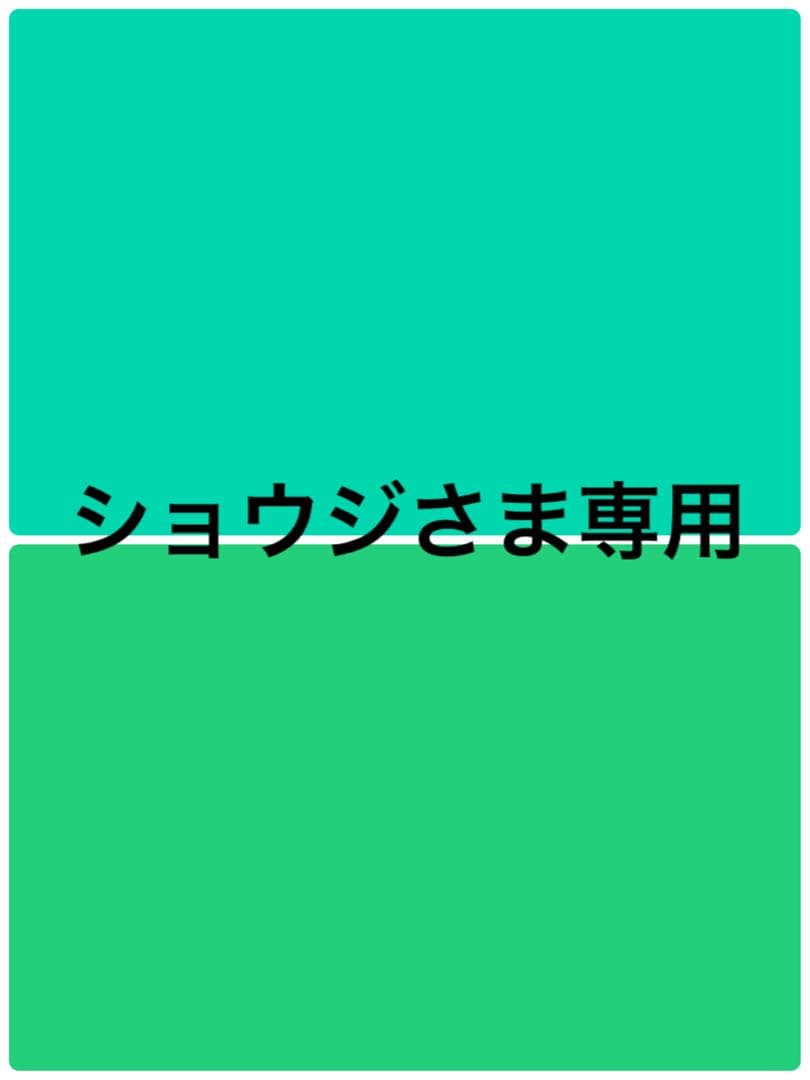 オーヤマのピカチュウ ⚡️希少　プロモ大山氏