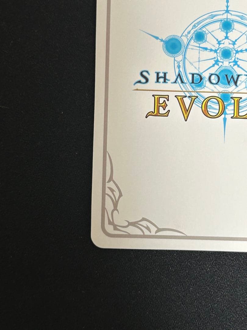 万華の鳳凰・ほーちゃん リーダー LD