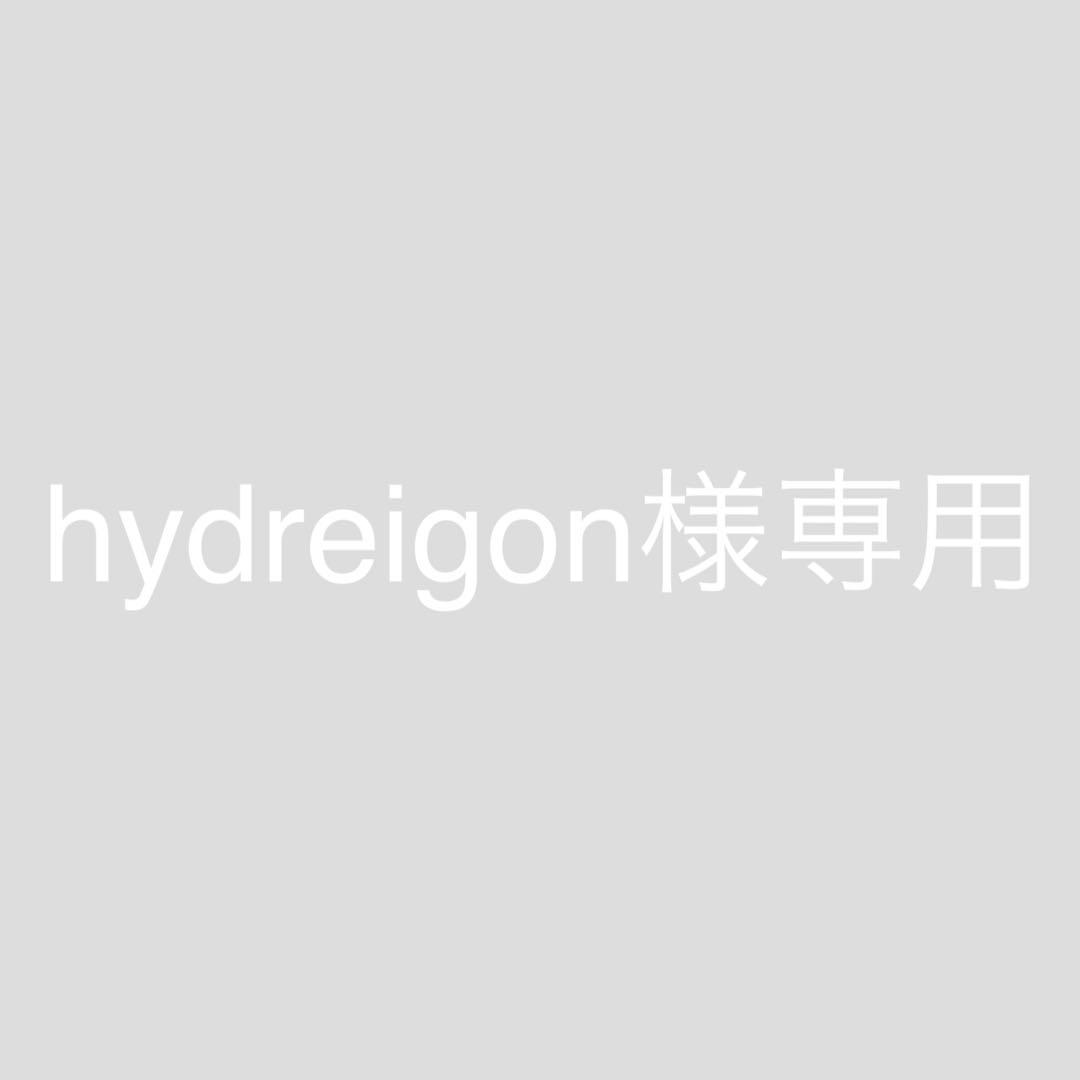 【hydreigon】