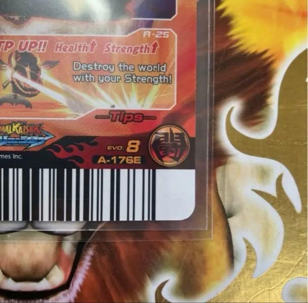 ジャズ　滅亡シロナガス帝王　英語版　EVO.8