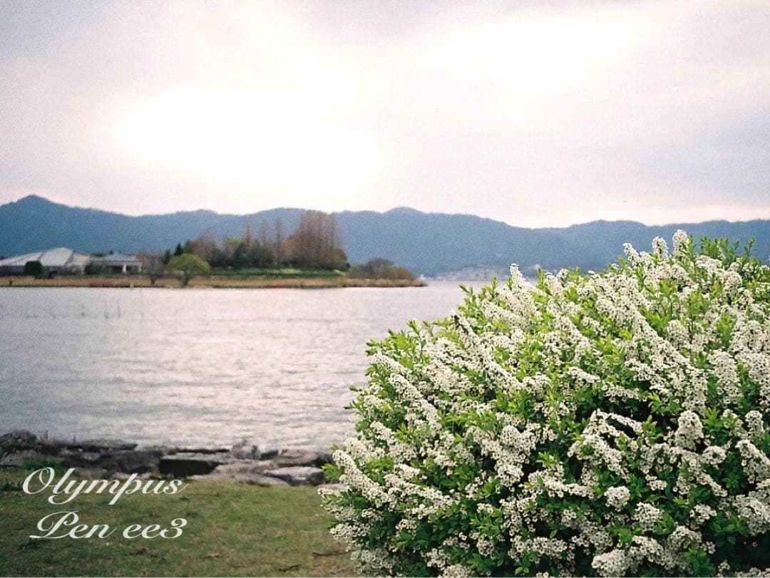 ★作例多数！★olympus pen ee3★完動・美品・赤ベロOK★入門に！