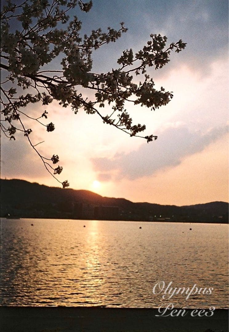 ★作例多数！★olympus pen ee3★完動・美品・赤ベロOK★入門に！