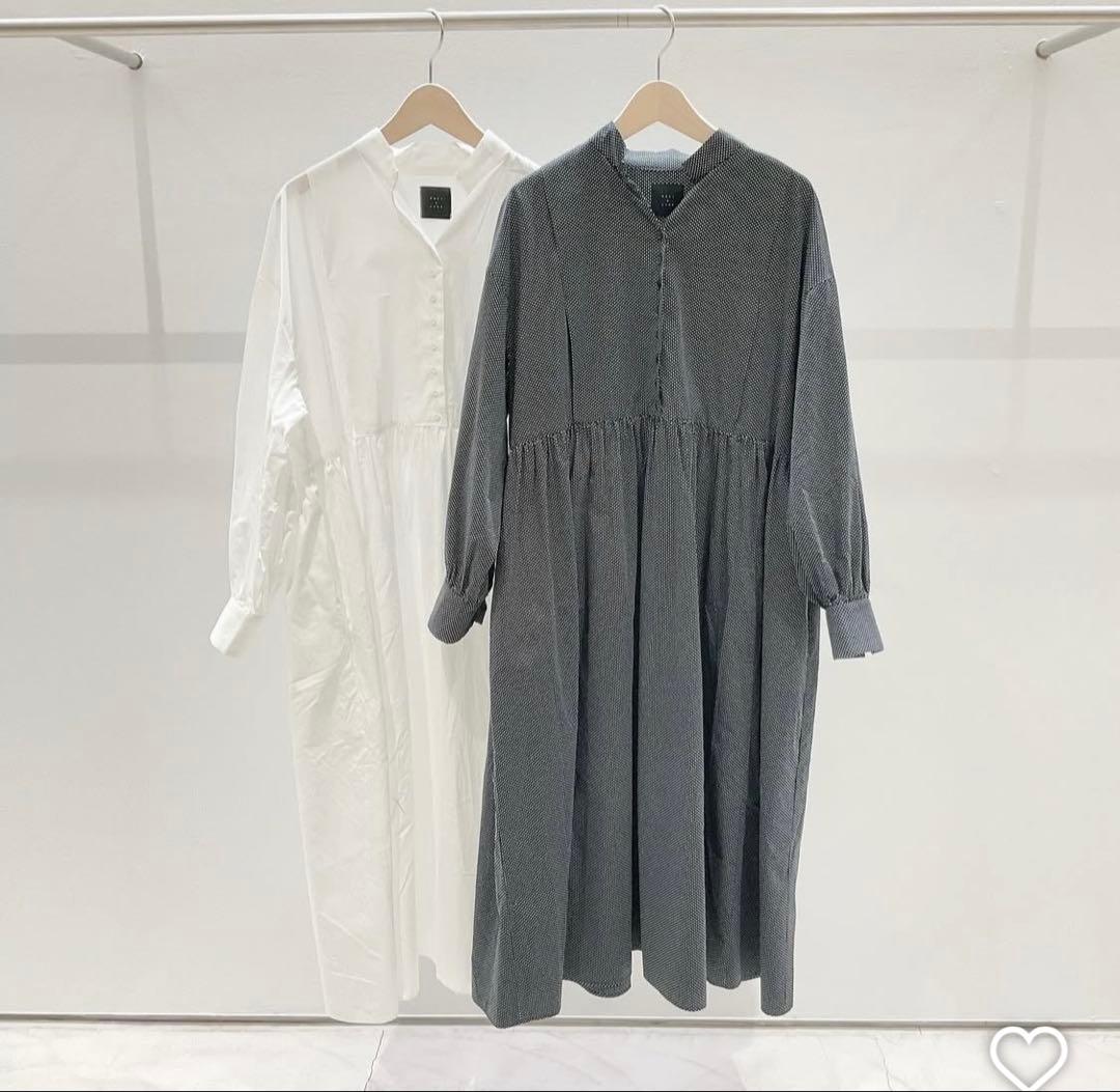 オオカミとフクロウ　フクロウと佇む木々の木漏れ日