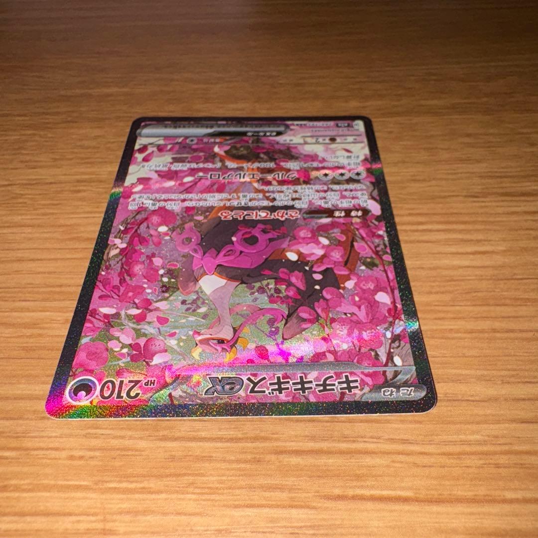 カナリィSAR 248/193 キチキギス SAR 244/193 2枚セット