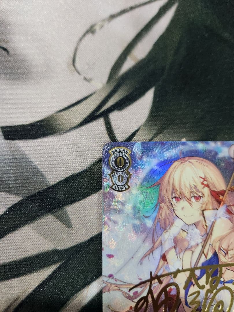 断ち切れない縁　アリスリーゼ　SEC サイン