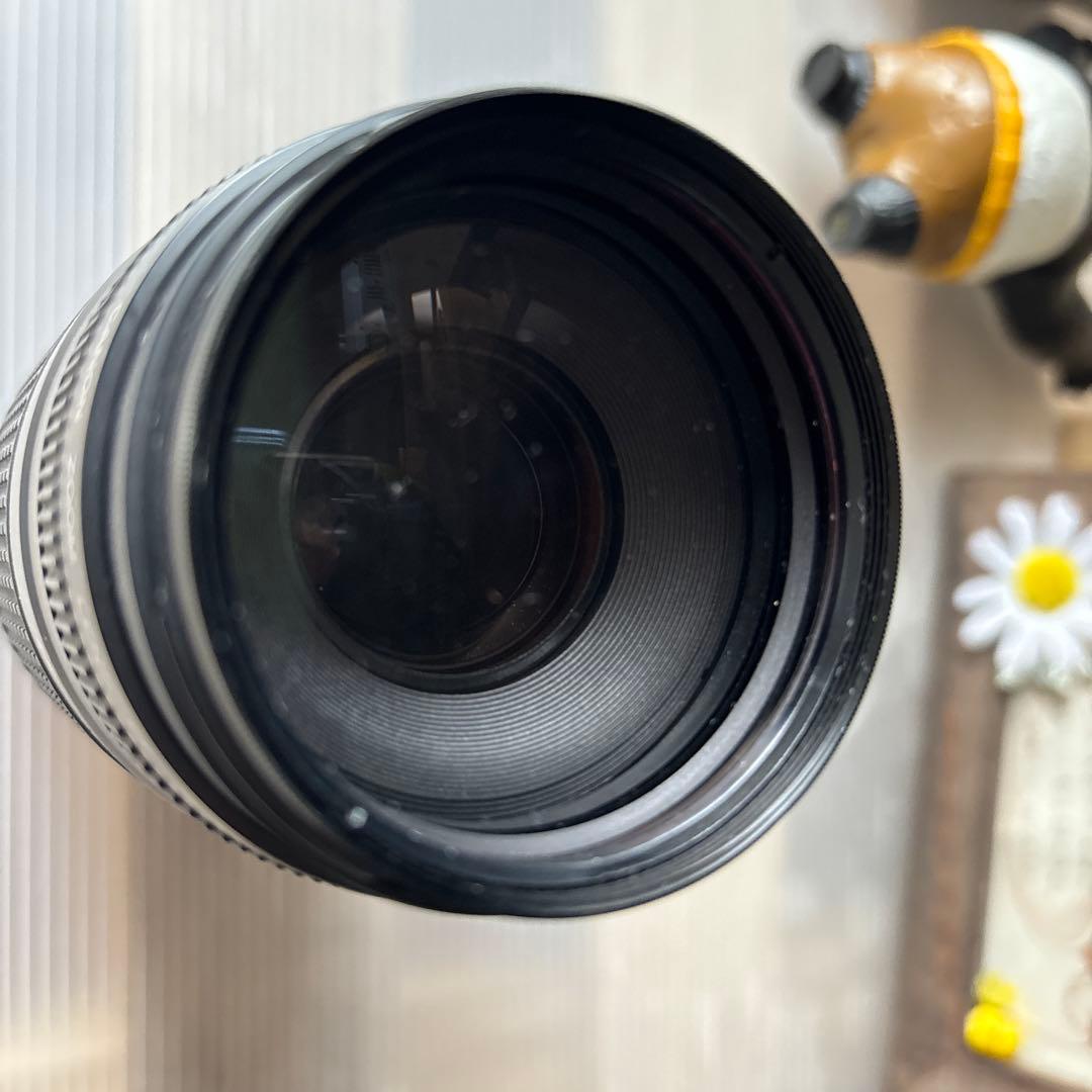 Canon EF 75-300mm f/4-5.6 III USM ズームレンズ