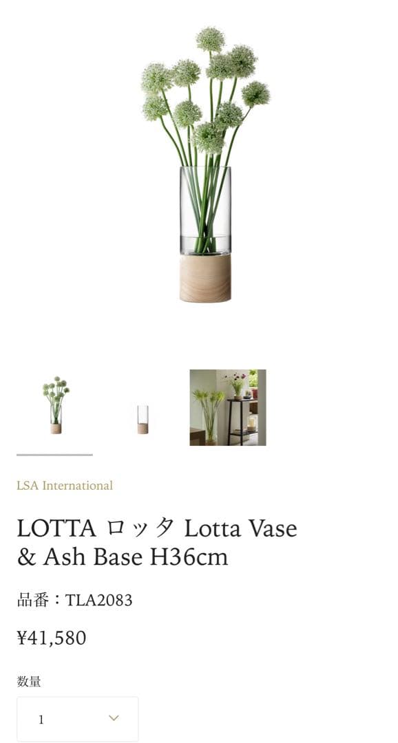 LSA フラワーベース Lotta 検索）ヘンリーディーン　コンランショップ