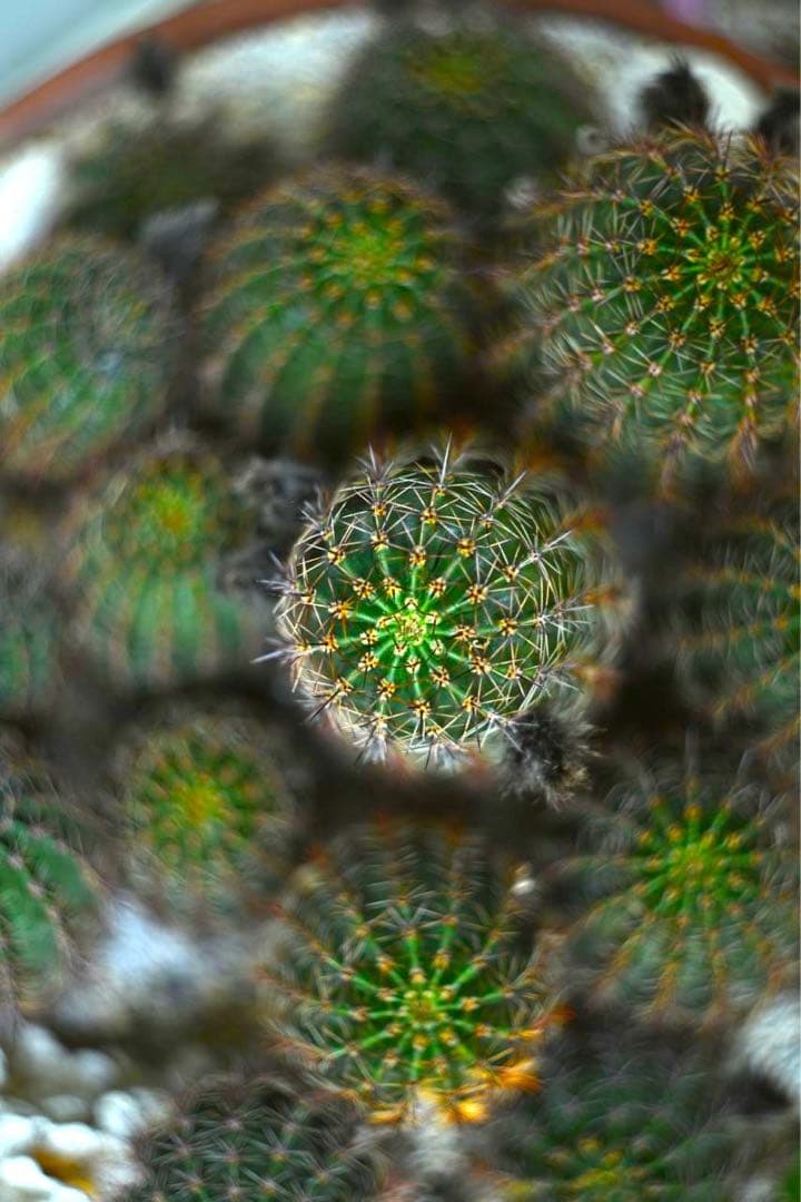 HELIOS-44-2 f2,0/58mm ニコンZマウント