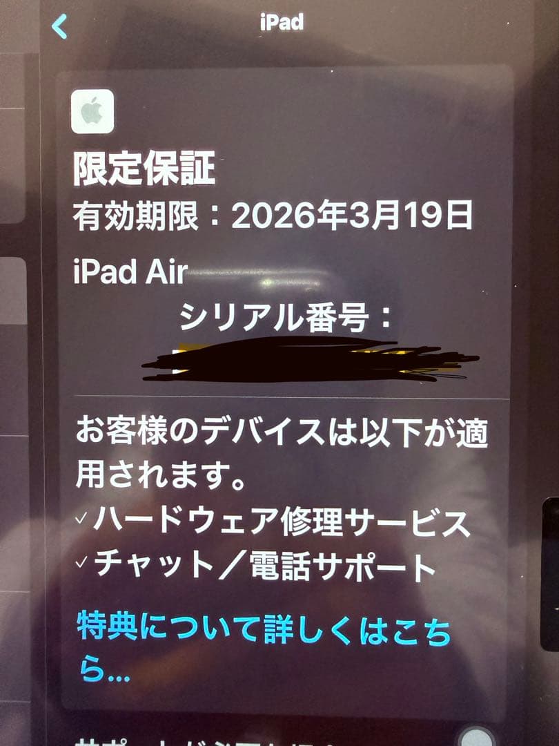 極美品 iPad Air 11インチWi-Fi + Cellular 128GB