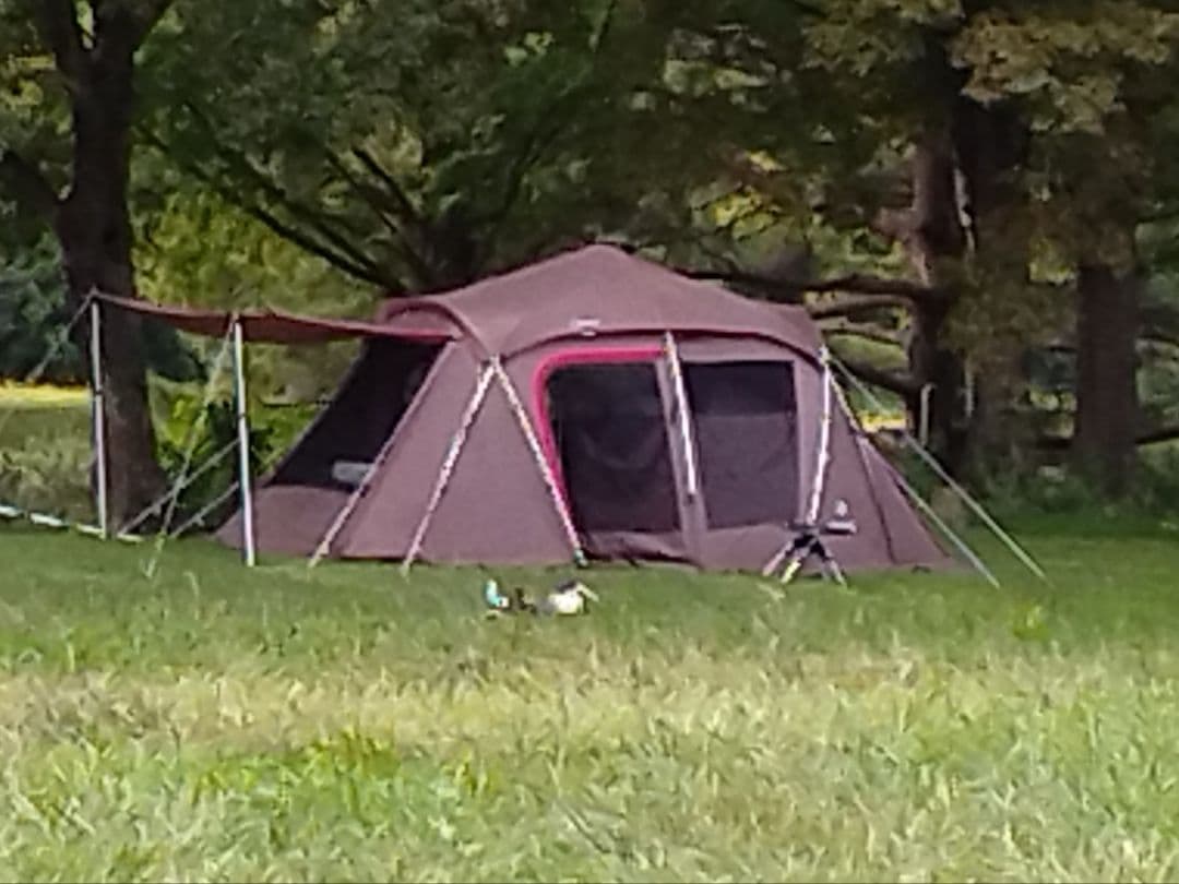 ア*龍様 スノーピーク タシーク+シールドルーフ セット