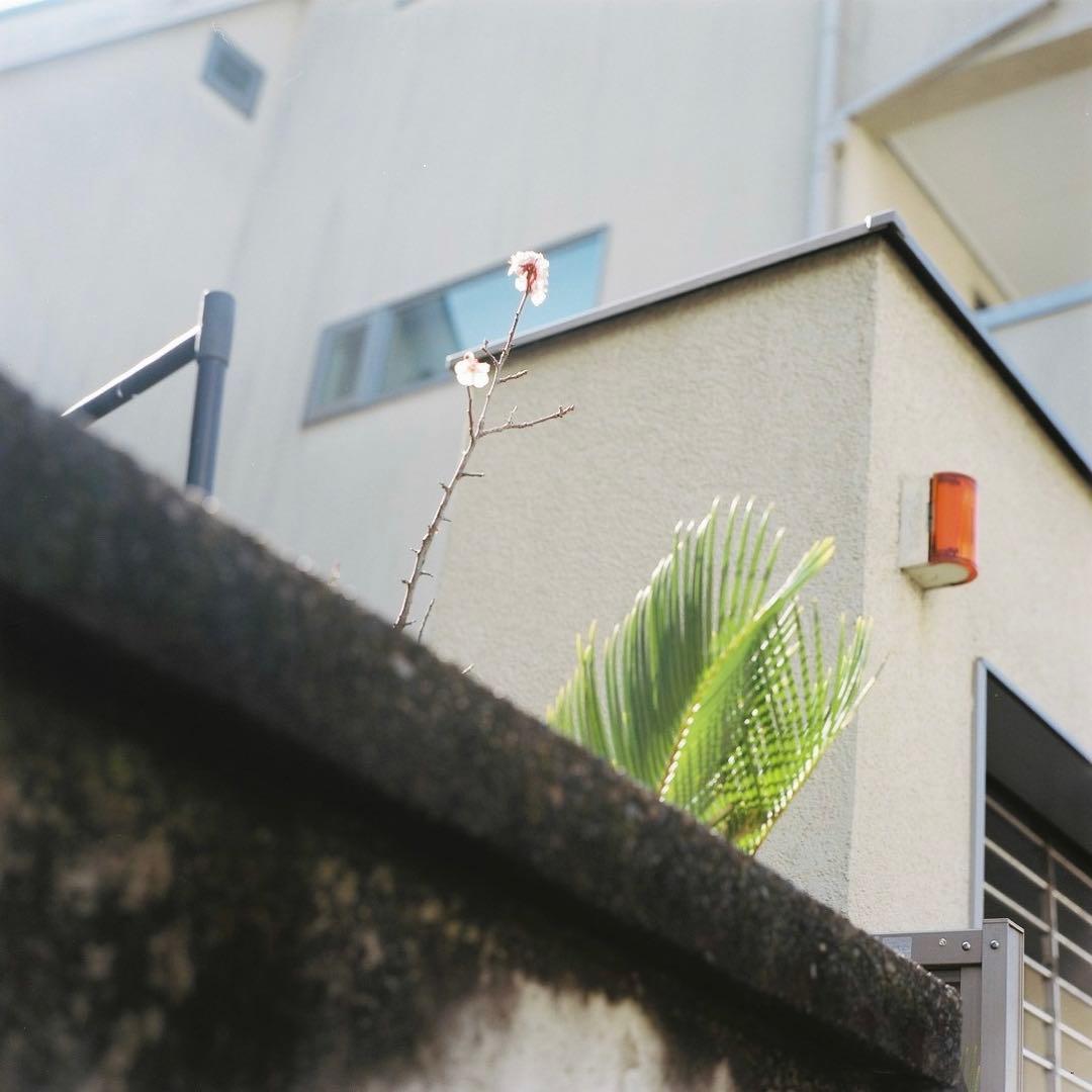 BRONICA 中判カメラ NIKKOR 75mm f/2.8