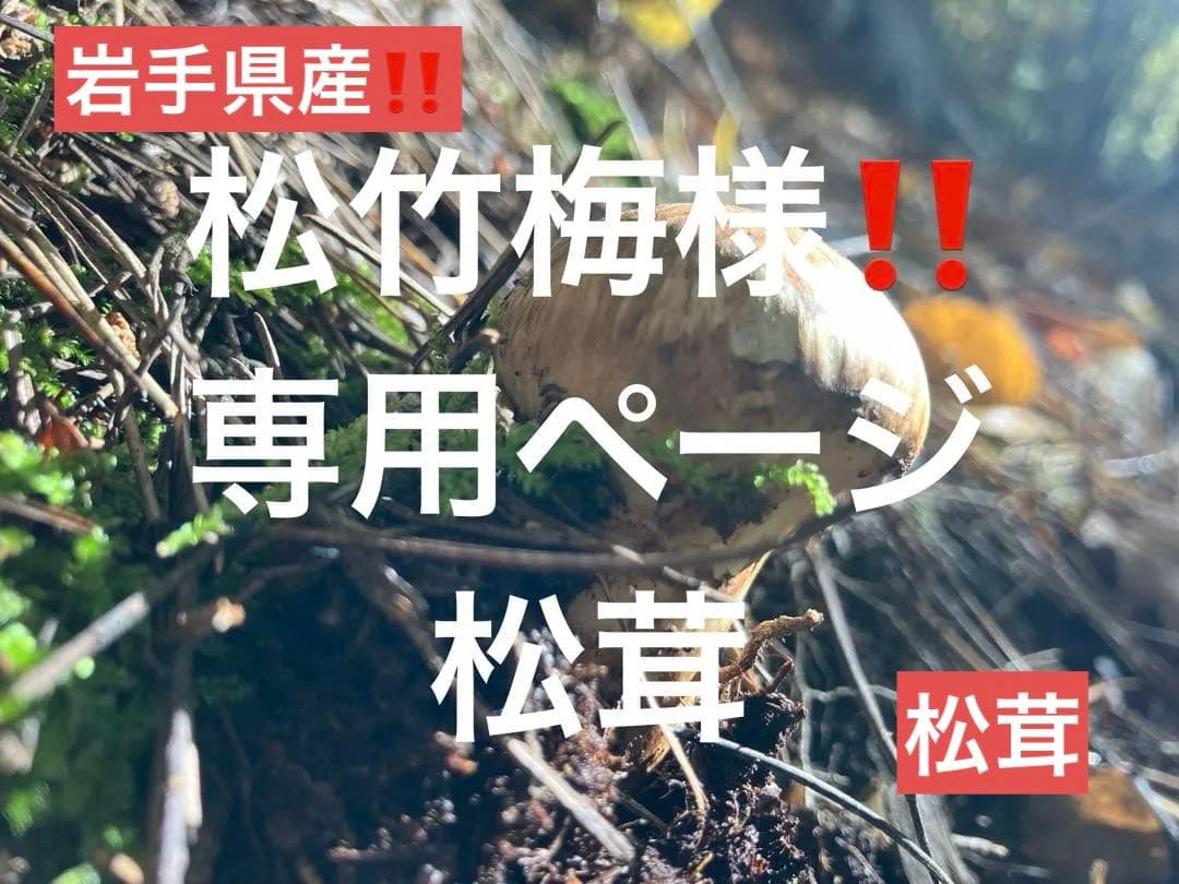 松竹梅様‼️専用松茸