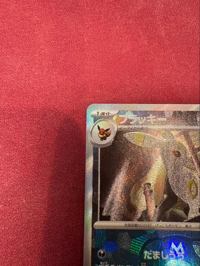 ポケモンカード ブラッキー マスターボールミラー 即購入可