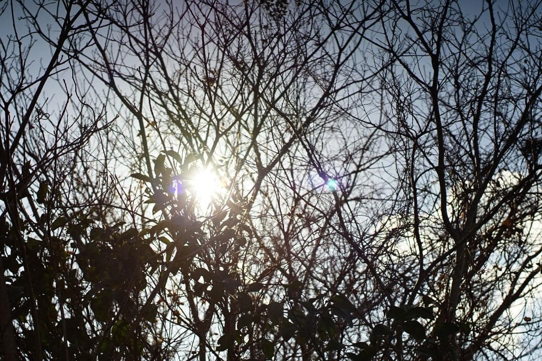 ニコン Nikkor-S Auto 50m f1.4