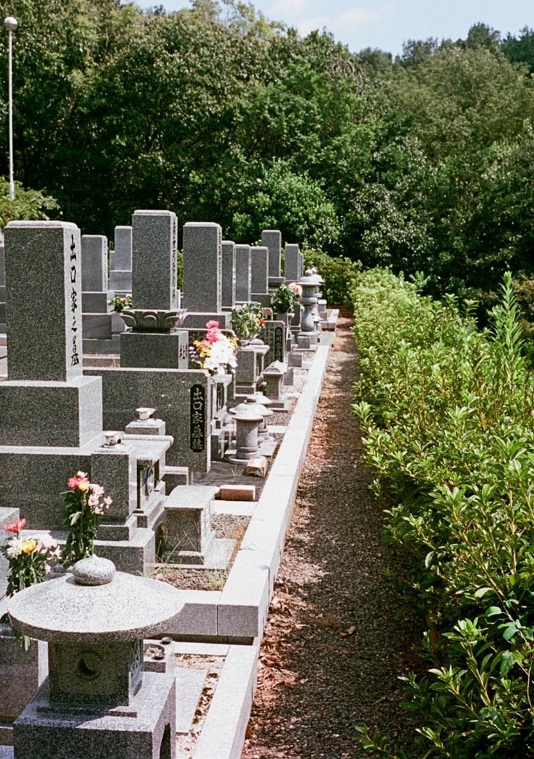 オリンパスペンD ハーフサイズカメラ OLYMPUS PEN D 実写済