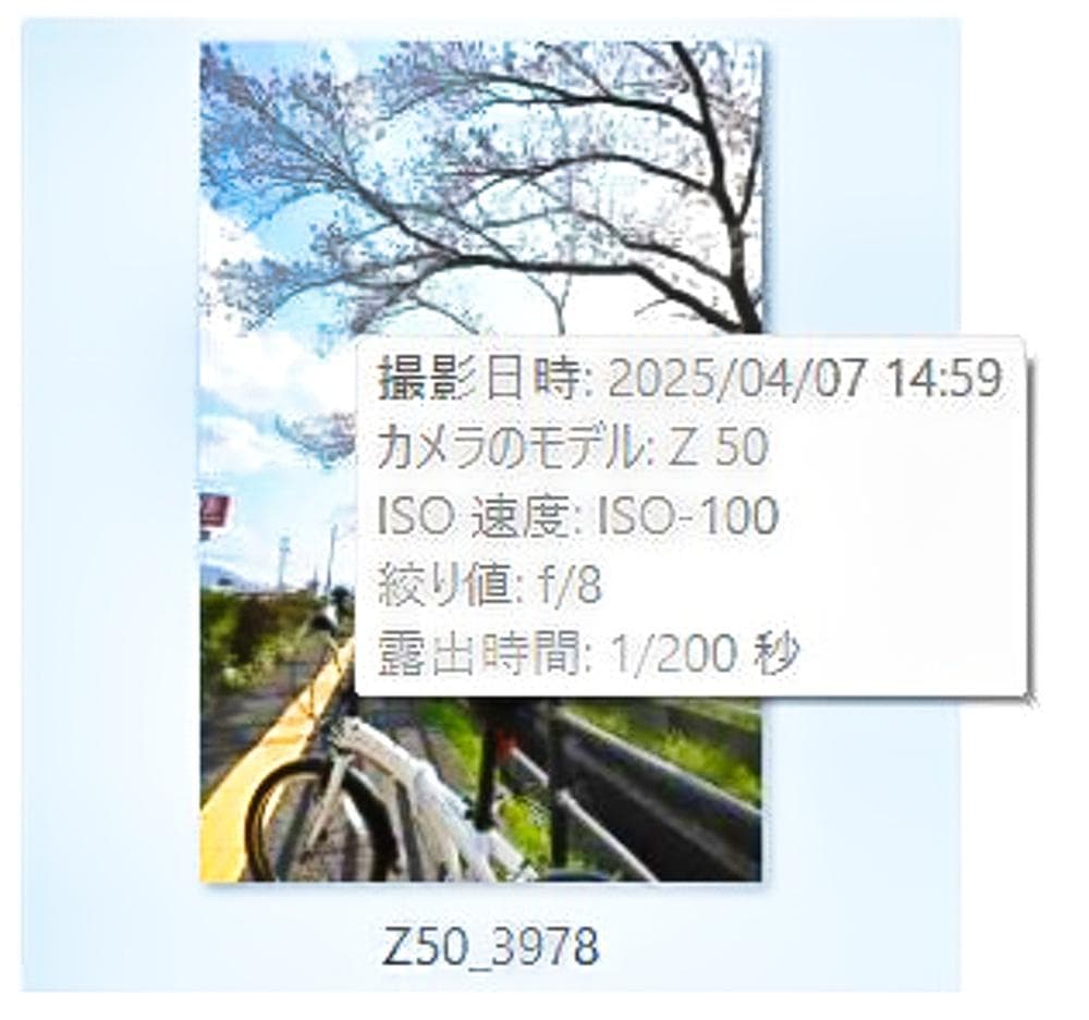 ★美品★Nikon Z50 ミラーレス一眼　ボディ