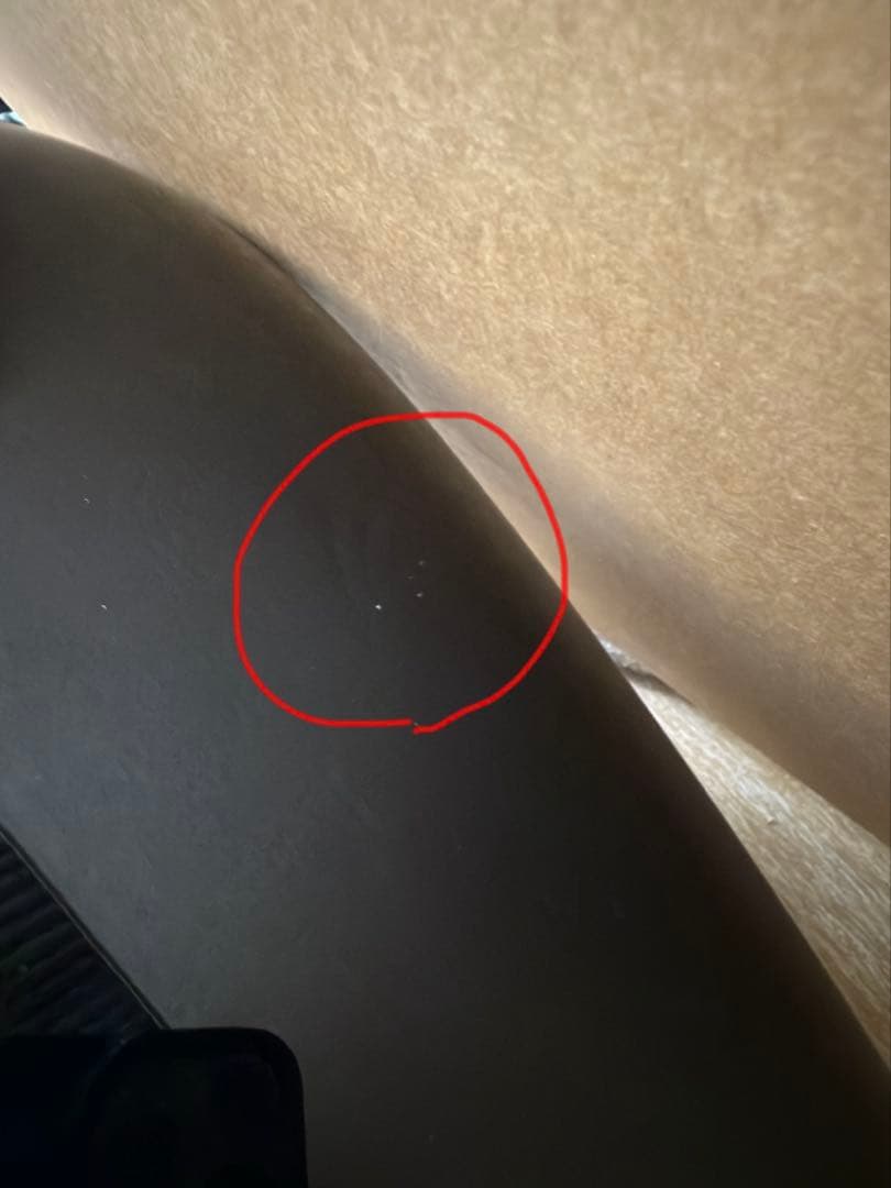 スポーツスタータンク　純正インジェクション　12.5 ハーレーダビッドソン