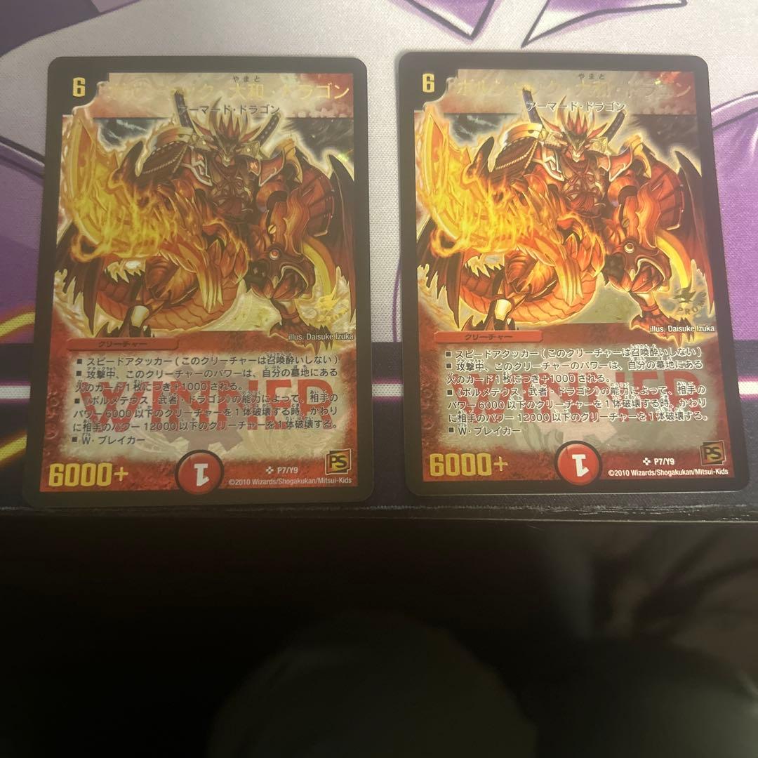 ポルシャック大和ドラゴン winner