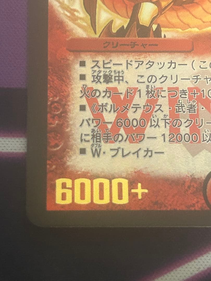 ポルシャック大和ドラゴン winner