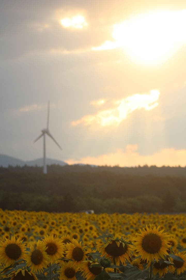 デジタルカメラ Canon EOS Kiss x7