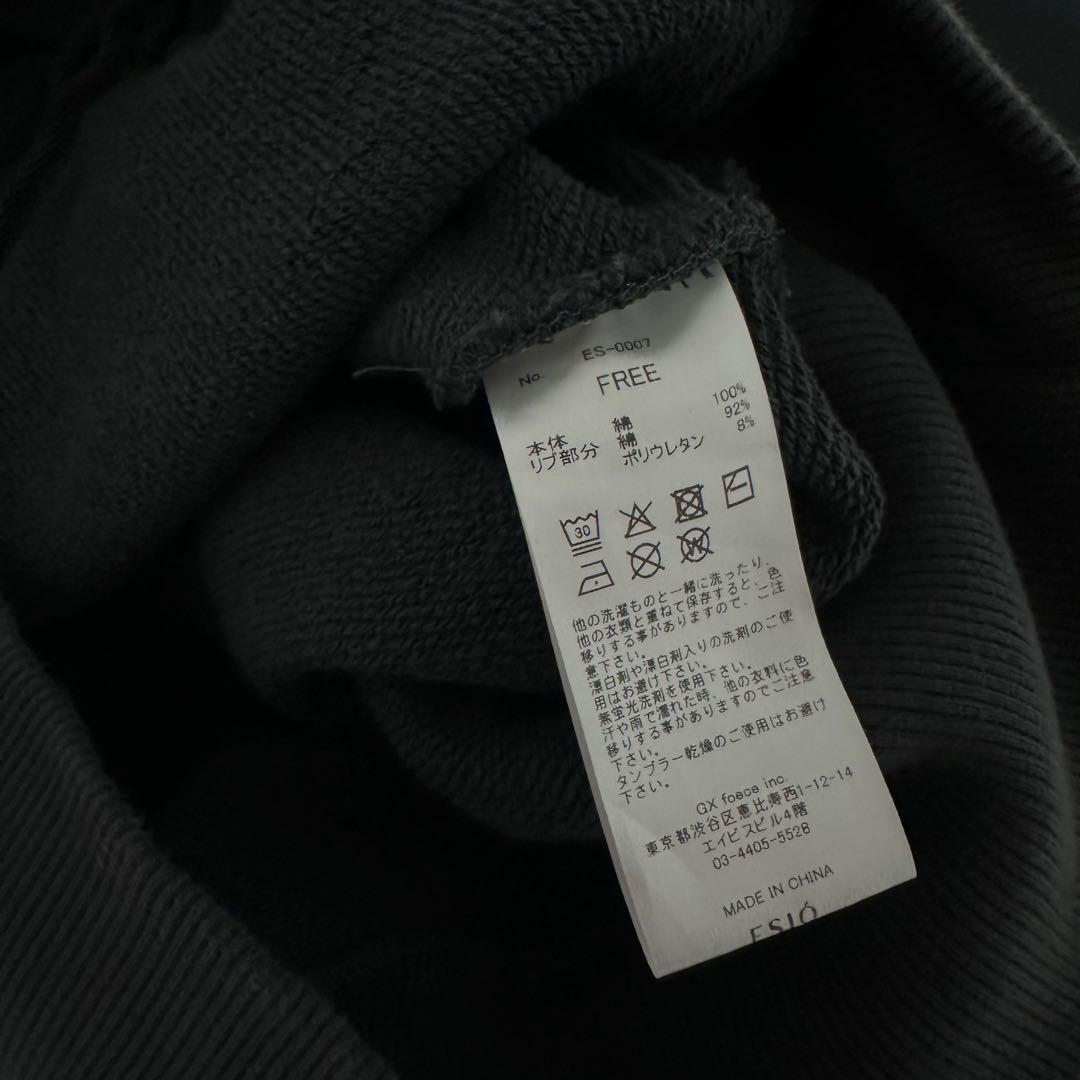 ESIO セットアップ