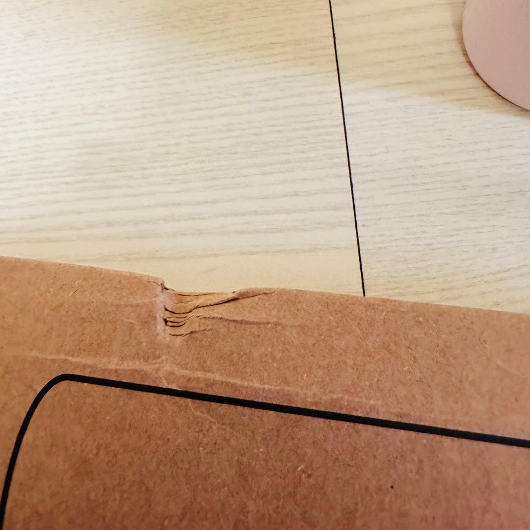 【新品・韓国限定】ノースフェイス 水筒 ベビーピンク　ブラック　591ml