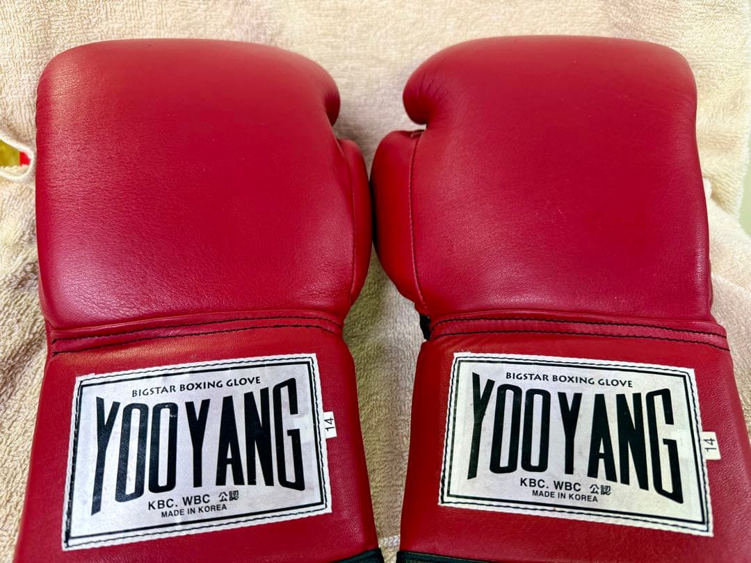 YOOYANG BIGSTAR ボクシンググローブ レッド