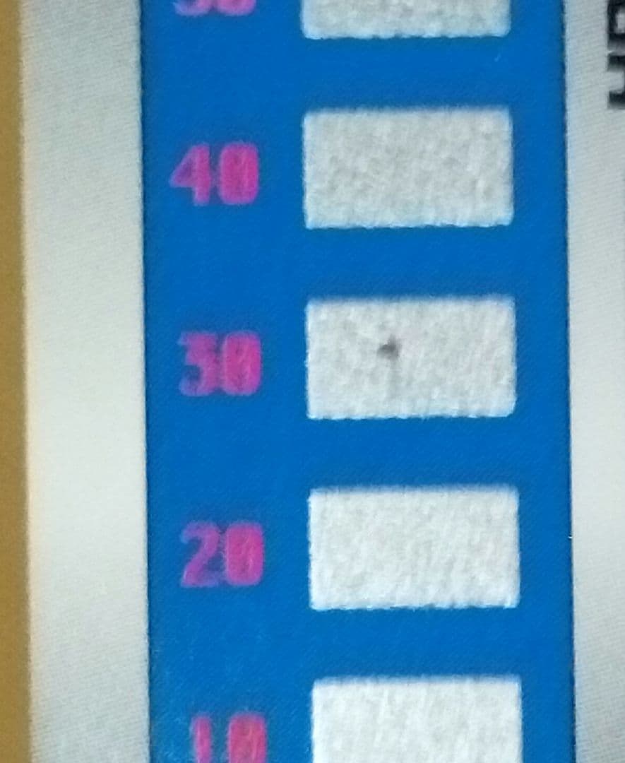 【全て未削り】ポケモンスクラッチ第2弾のカード　12枚セット