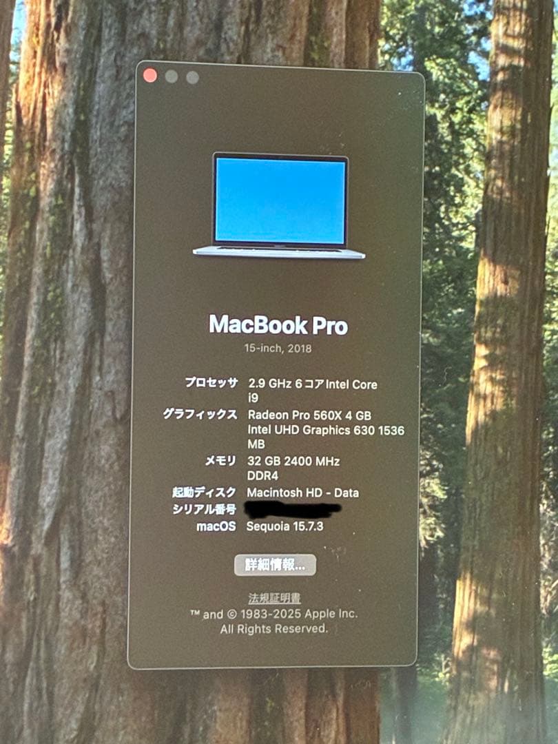 MacBookPro15インチ2018 、Corei9、SSD1TB、32GB