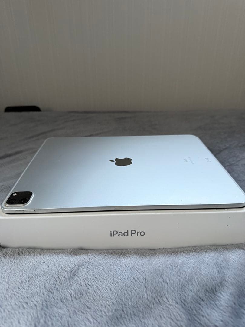 Apple iPad Pro 本体