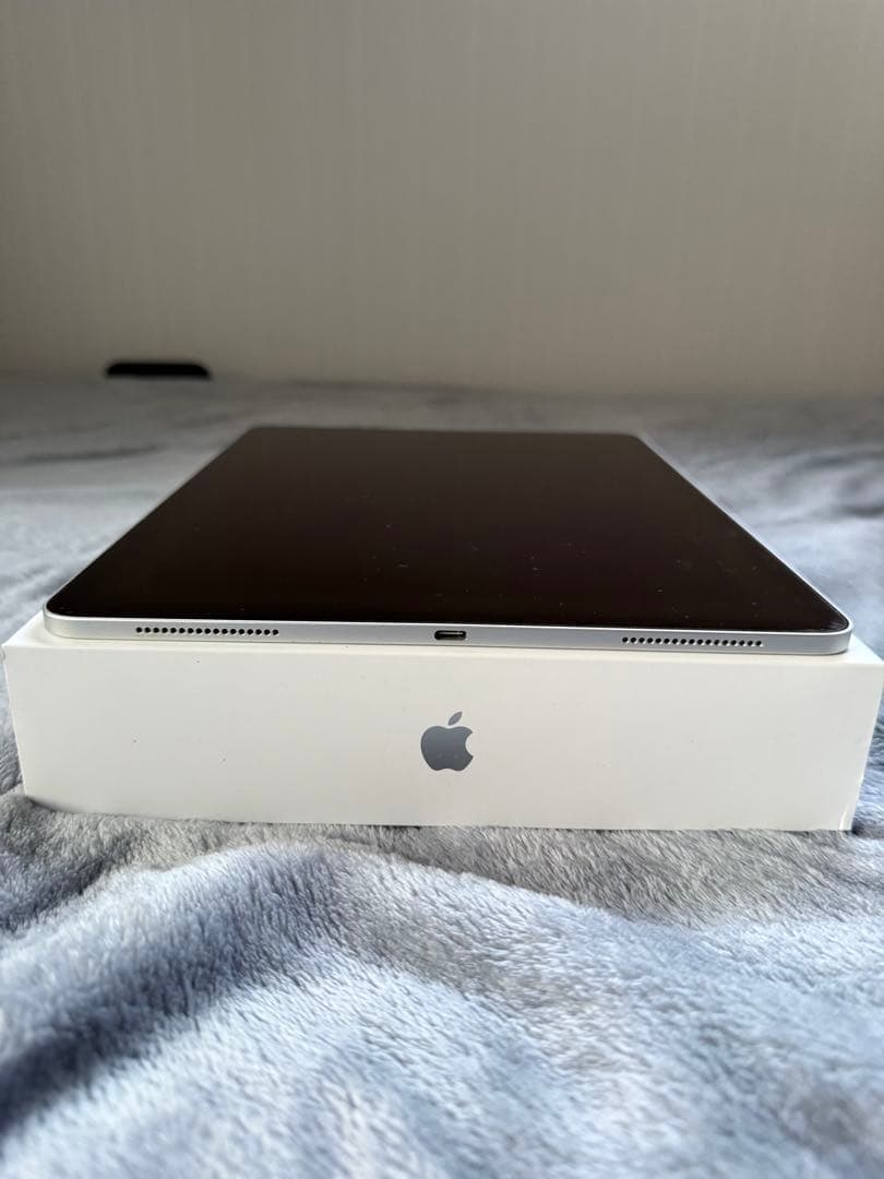 Apple iPad Pro 本体