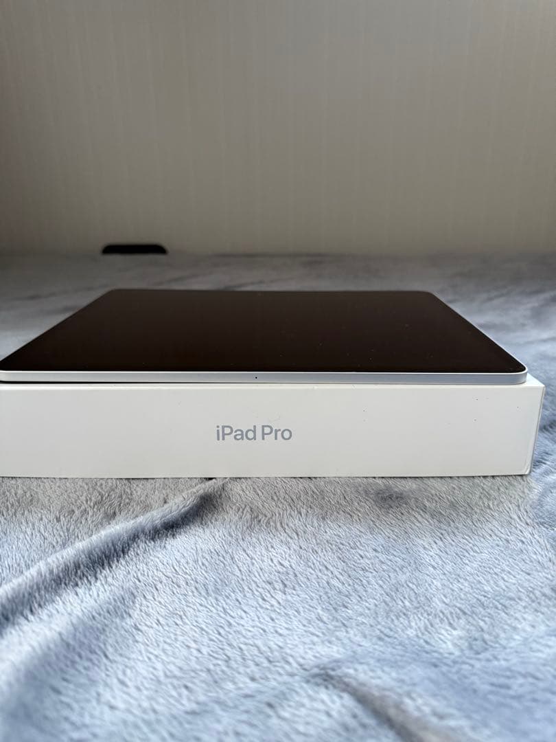 Apple iPad Pro 本体