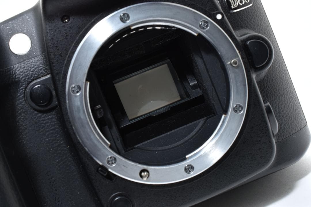 ★美品★Nikon ニコン D80 ボディ #20950