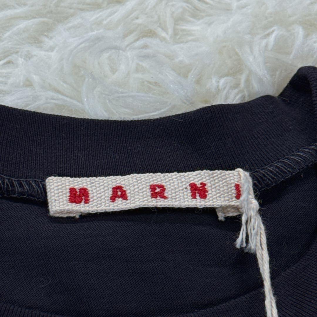 新品タグ付✨ 大人もOK！マルニ　キッズTシャツ　12Y 150 紺 25SS
