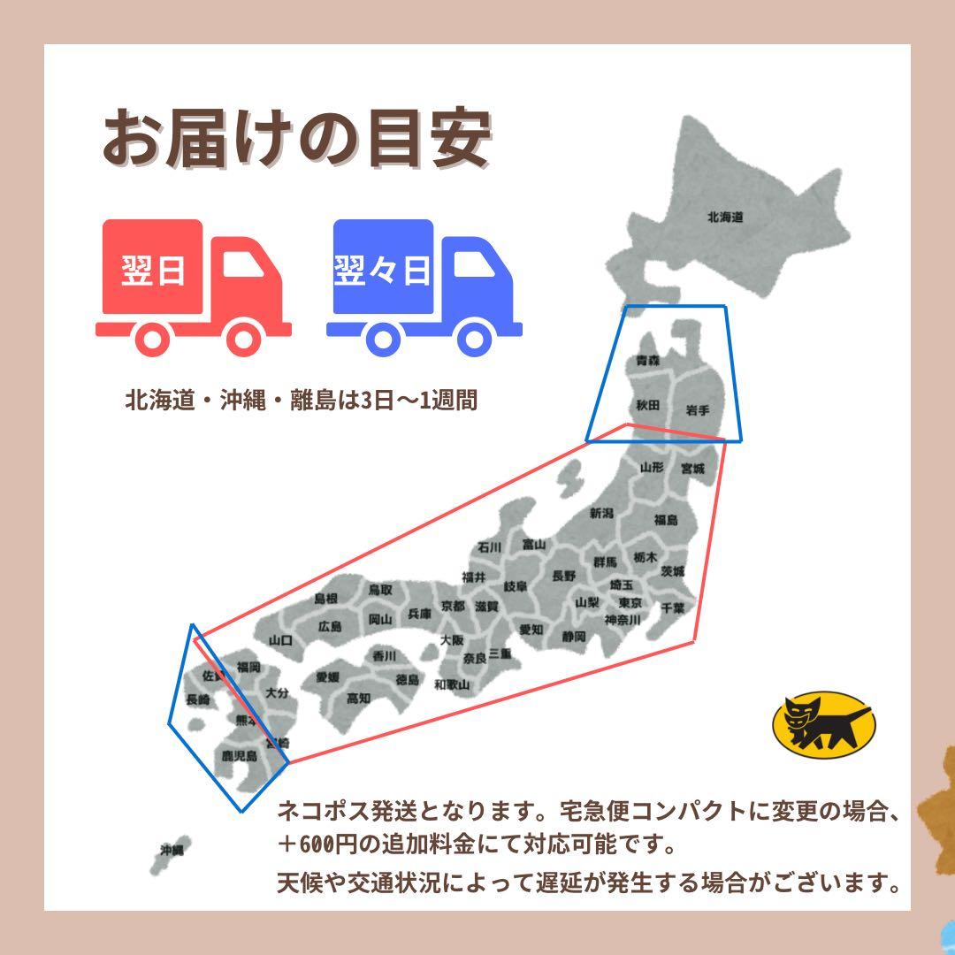 未開封 iPhone 17 Pro Max 512 GB SIMフリー 本体